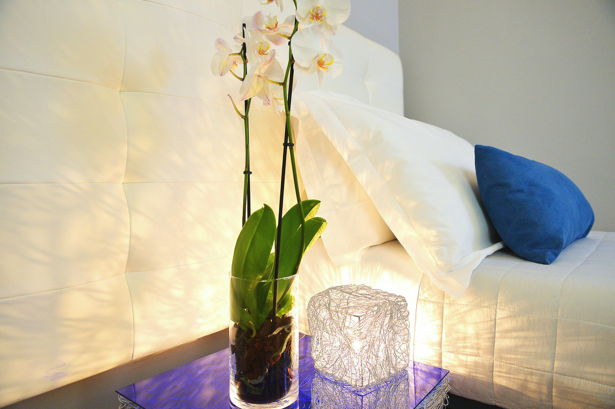 B-Cool (Adults Only) Bed and Breakfast Rom Exteriör bild
